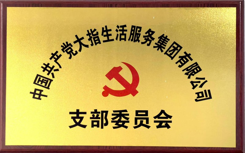 大指公司党支部委员会